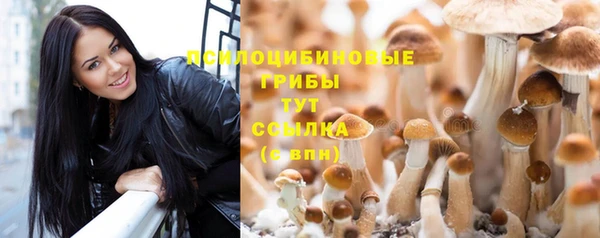 амф Алзамай