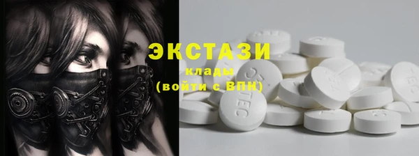 СК Алексин
