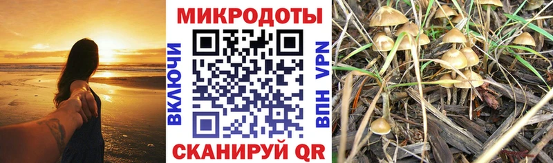 Галлюциногенные грибы Cubensis  mega ССЫЛКА  Сокол 