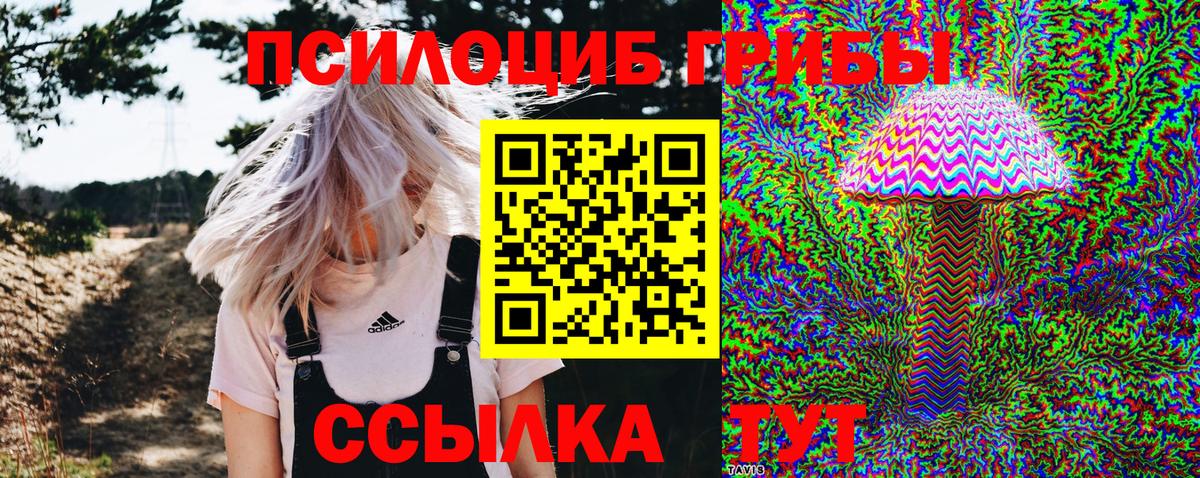 Сокол  Псилоцибиновые грибы Psilocybine cubensis  хочу наркоту  Вход с VPN 
