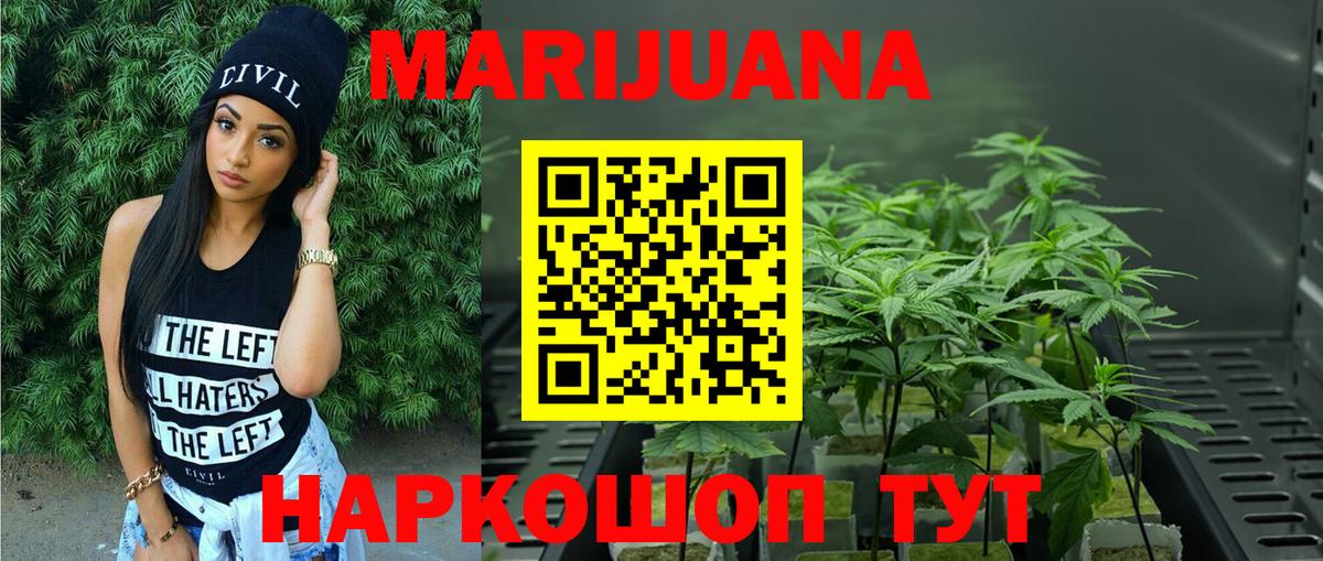 Марихуана OG Kush Сокол